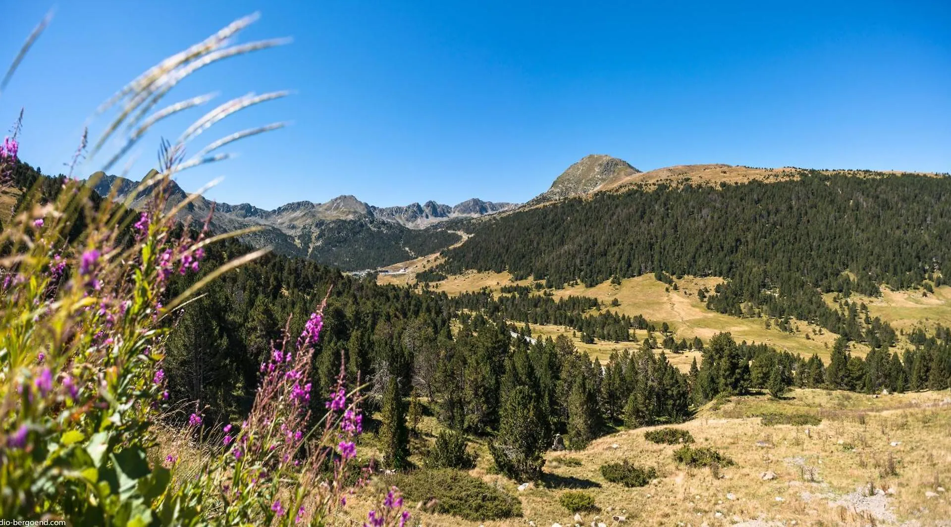 Pierre & Vacances Andorra Bordes D'Envalira Apartment